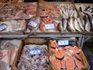 DSC00047.JPG