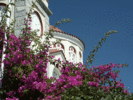 PICT0086.gif