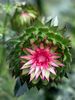 DSCN3642.JPG