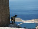Filename : diak.jpg
Filesize : 191KB
Dimensions : 568x426
Date added : Jul 17, 2005 diak.jpg