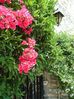 2005_060520050094.JPG