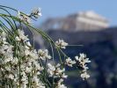 Filename : Acropolis_Athene.jpg
Filesize : 155KB
Dimensions : 1280x960
Date added : Nov 11, 2005 Acropolis_Athene.jpg