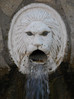 DSCN0433.JPG