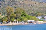 Marathonas Aegina | Greece | Photo 1 - Photo JustGreece.com