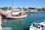 JustGreece.com Perdika | Aegina | Greece  Photo 6 - Foto van JustGreece.com