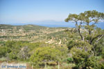 Afaia | Aegina | Greece  Photo 15 - Photo JustGreece.com