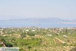 View to the Northwest of Aegina | Greece | Greece  Photo 3 - Photo JustGreece.com
