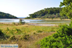 Small lake between Limenaria and Aponissos | Angistri (Agkistri) - Saronic Gulf Islands - Greece | Photo 1 - Photo JustGreece.com