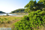 Small lake between Limenaria and Aponissos | Angistri (Agkistri) - Saronic Gulf Islands - Greece | Photo 4 - Foto van JustGreece.com