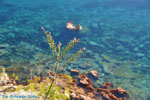 Angistri (Agkistri) - Saronic Gulf Islands - Greece | Greece  - Photo JustGreece.com