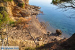 Klein Sandy beach between the dennebomen near Skala | Angistri (Agkistri) - Saronic Gulf Islands - Greece | Photo 2 - Photo JustGreece.com
