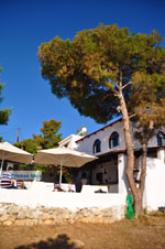 Terras Agistri Club | Angistri (Agkistri) - Saronic Gulf Islands - Greece | Photo 2 - Photo JustGreece.com