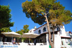 Terras Agistri Club | Angistri (Agkistri) - Saronic Gulf Islands - Greece | Photo 3 - Photo JustGreece.com