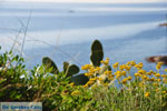 Beautiful Angistri - Agkistri | Greece | Greece  Photo 3 - Photo JustGreece.com
