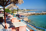 Skala | Angistri (Agkistri) - Saronic Gulf Islands - Greece | Photo 7 - Photo JustGreece.com
