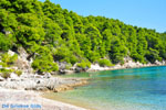 Milia Alonissos | Sporades | Greece  Photo 1 - Photo JustGreece.com