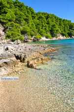 Milia Alonissos | Sporades | Greece  Photo 4 - Photo JustGreece.com