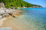 Milia Alonissos | Sporades | Greece  Photo 5 - Photo JustGreece.com