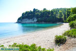 Milia Alonissos | Sporades | Greece  Photo 12 - Photo JustGreece.com