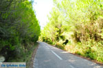 Chrisi Milia | Alonissos Sporades | Greece  Photo 2 - Photo JustGreece.com