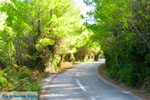 Chrisi Milia | Alonissos Sporades | Greece  Photo 3 - Photo JustGreece.com