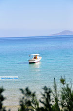 Chrisi Milia | Alonissos Sporades | Greece  Photo 14 - Photo JustGreece.com