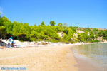 JustGreece.com Chrisi Milia | Alonissos Sporades | Greece  Photo 16 - Foto van JustGreece.com