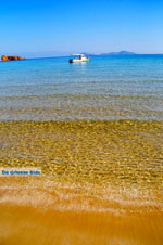 JustGreece.com Chrisi Milia | Alonissos Sporades | Greece  Photo 20 - Foto van JustGreece.com