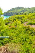 Chrisi Milia | Alonissos Sporades | Greece  Photo 24 - Photo JustGreece.com
