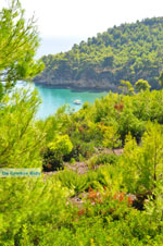 Chrisi Milia | Alonissos Sporades | Greece  Photo 25 - Photo JustGreece.com