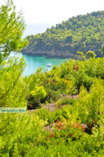 JustGreece.com Chrisi Milia | Alonissos Sporades | Greece  Photo 25 - Foto van JustGreece.com