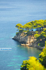 Eastern coast Alonissos | Sporades | Greece  Photo 7 - Photo JustGreece.com