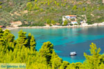 Tzortzi | Alonissos Sporades | Greece  Photo 2 - Photo JustGreece.com