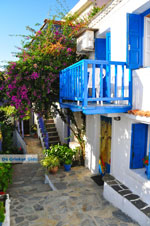 Alonissos town (Chora) | Sporades | Greece  Photo 6 - Photo JustGreece.com