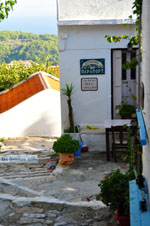 Alonissos town (Chora) | Sporades | Greece  Photo 34 - Photo JustGreece.com