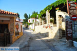 Alonissos town (Chora) | Sporades | Greece  Photo 44 - Photo JustGreece.com