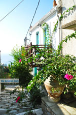 JustGreece.com Alonissos town (Chora) | Sporades | Greece  Photo 81 - Foto van JustGreece.com