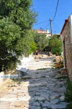 JustGreece.com Alonissos town (Chora) | Sporades | Greece  Photo 87 - Foto van JustGreece.com