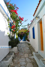 Alonissos town (Chora) | Sporades | Greece  Photo 94 - Photo JustGreece.com