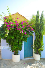 JustGreece.com Alonissos town (Chora) | Sporades | Greece  Photo 95 - Foto van JustGreece.com