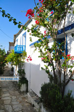 Alonissos town (Chora) | Sporades | Greece  Photo 96 - Photo JustGreece.com
