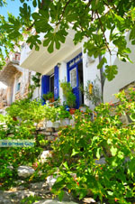 JustGreece.com Alonissos town (Chora) | Sporades | Greece  Photo 98 - Foto van JustGreece.com