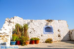 Alonissos town (Chora) | Sporades | Greece  Photo 104 - Photo JustGreece.com