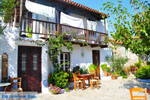 JustGreece.com Alonissos town (Chora) | Sporades | Greece  Photo 112 - Foto van JustGreece.com