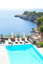 MOM, Monachus-Monachus seals Alonissos | Sporades Photo 8 - Photo JustGreece.com
