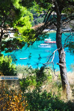 JustGreece.com Votsi | Alonissos Sporades | Greece  Photo 4 - Foto van JustGreece.com