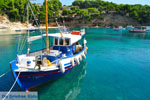 Votsi | Alonissos Sporades | Greece  Photo 10 - Photo JustGreece.com