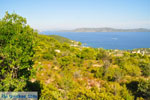 JustGreece.com Steni Vala | Alonissos Sporades | Greece  Photo 3 - Foto van JustGreece.com