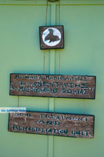 MOM, Monachus-Monachus seals Alonissos | Sporades Photo 9 - Photo JustGreece.com