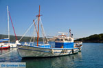 Steni Vala | Alonissos Sporades | Greece  Photo 18 - Photo JustGreece.com